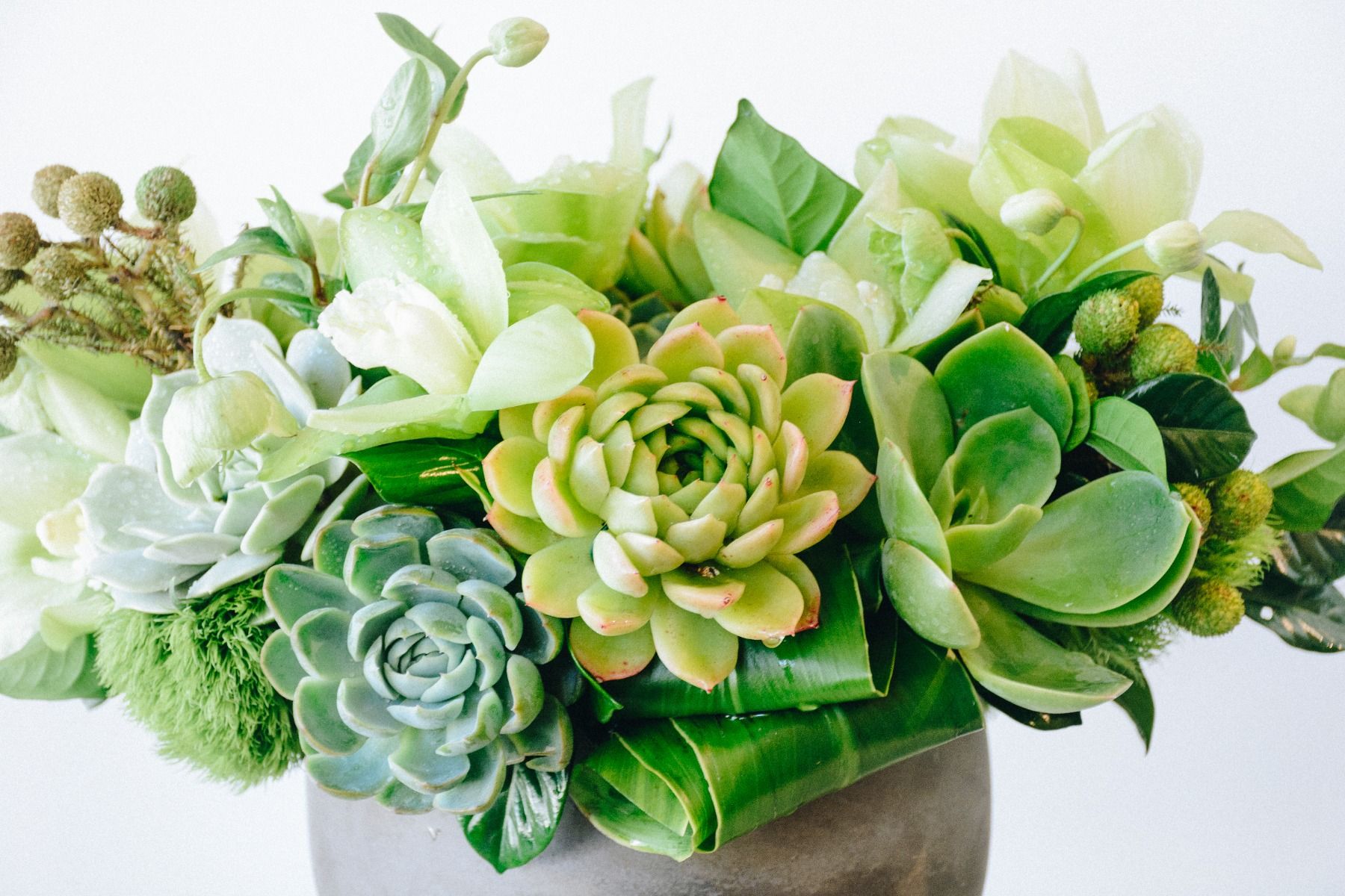 succulent arrangements for sale Succulents Floral Arrangement - Empty Vase