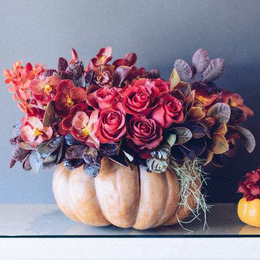 Autumn Gourd