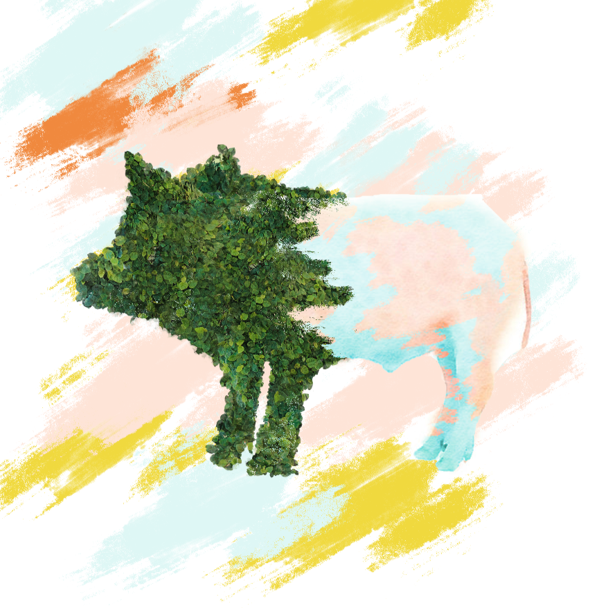 Pig Topiary
