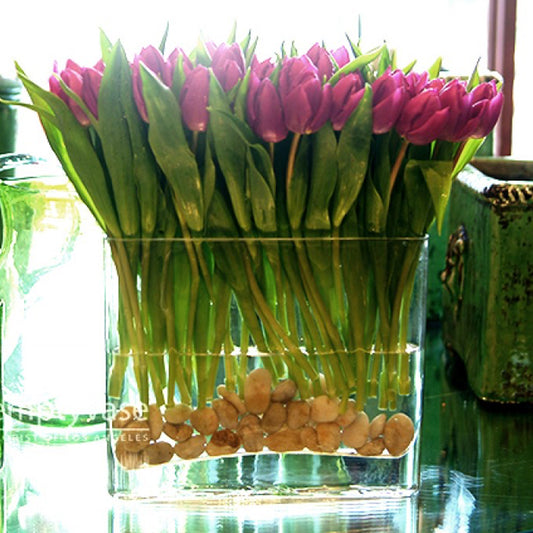 Purple Tulip Arrangement