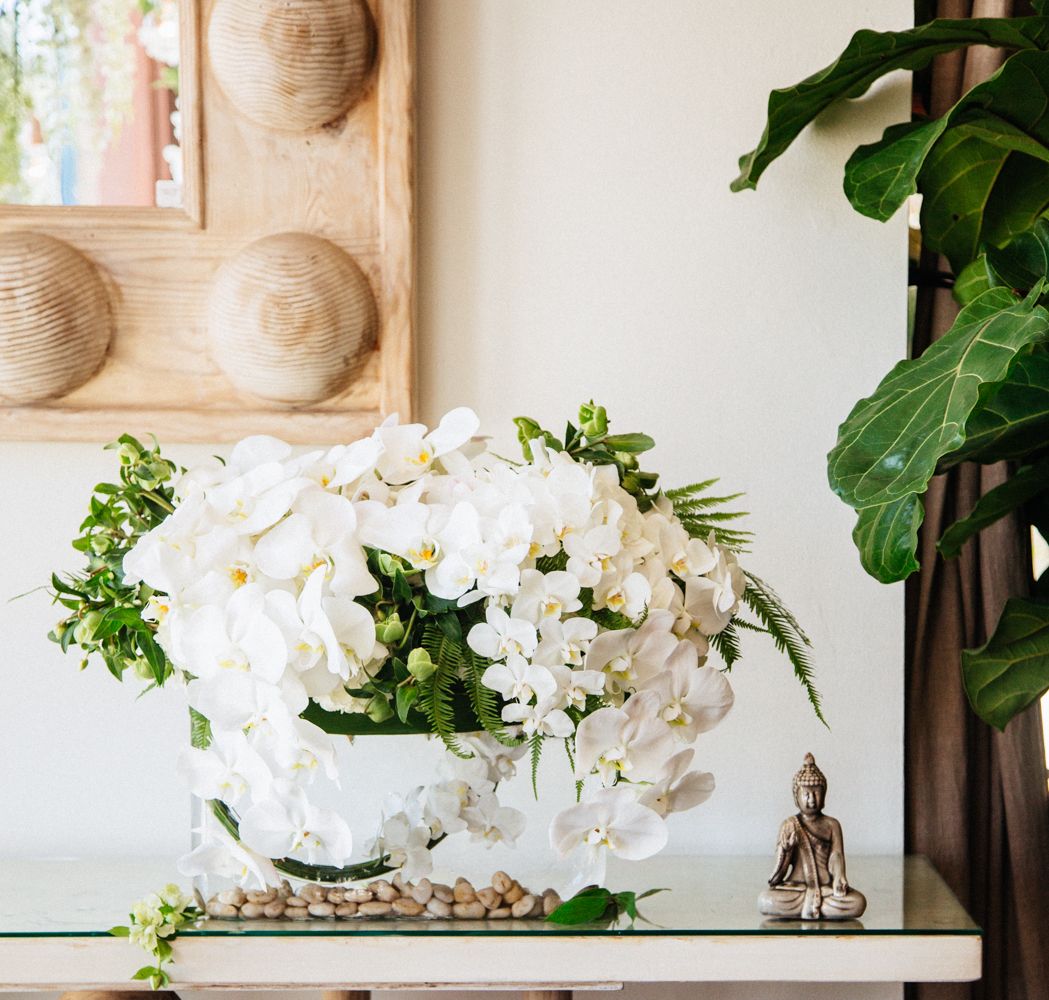 White Orchids Floral Arrangement - Empty Vase - Same Day Delivery