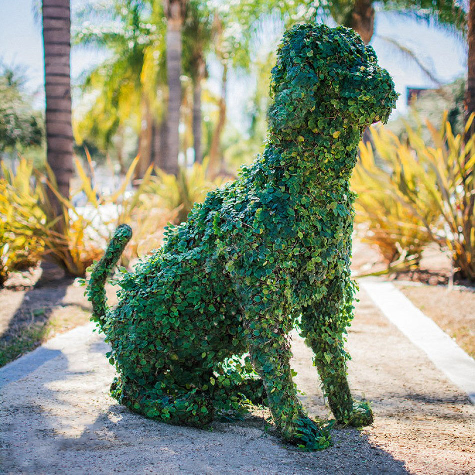 Sitting Dog Topiary