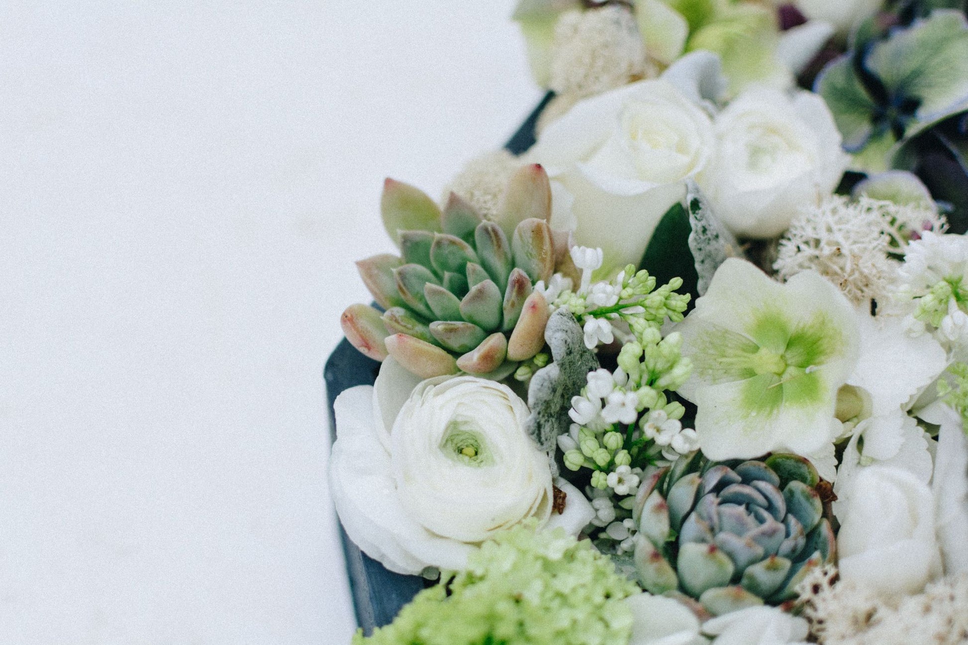 white roses and succulents Roses, Tulips, Hydrangea and Ranunculu
