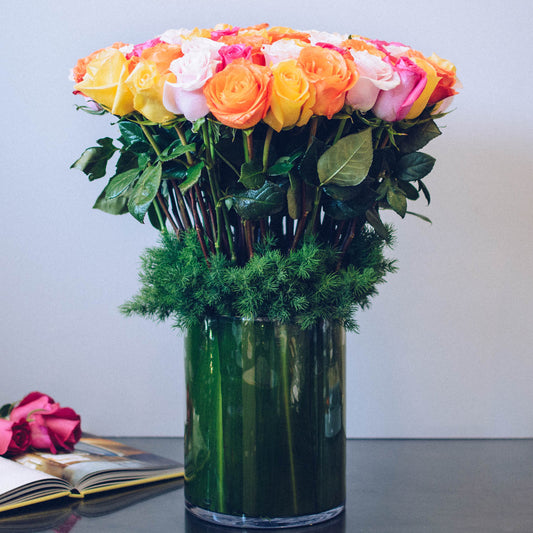 Summer Roses