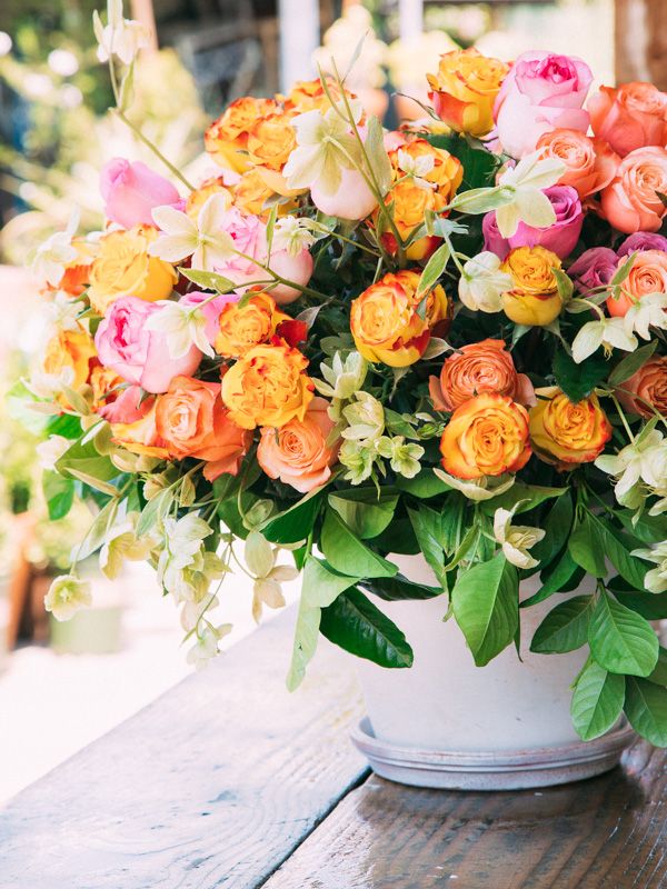 Orange, Yellow and Pink Roses