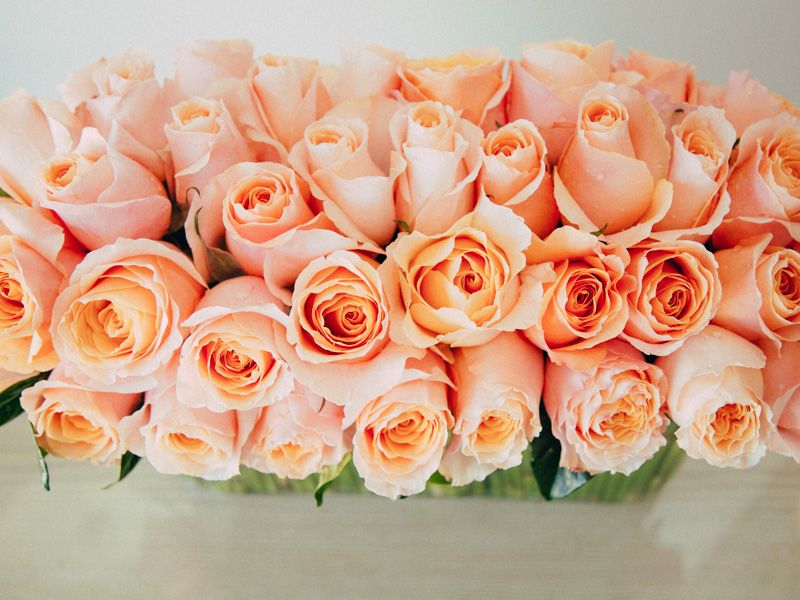 Peach Pink Roses Floral Arrangement - Empty Vase - Same Day Delivery