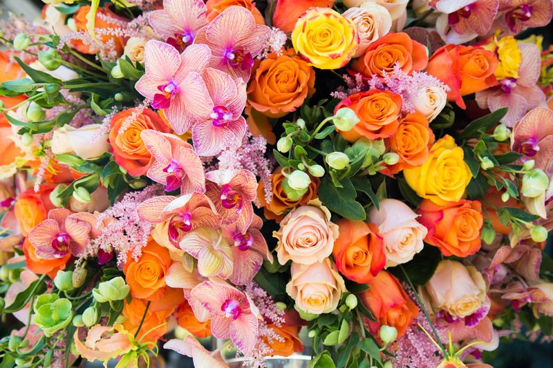 Orchids, Orange, Yellow and Peach Vase Roses- Empty Arrangement Floral