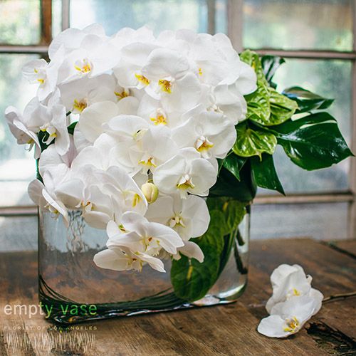 Phalaenopsi Orchid store Arregement Glass Vase