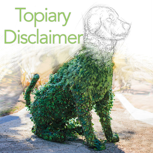 Topiary Disclaimer Notice