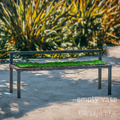 Bench Topiary